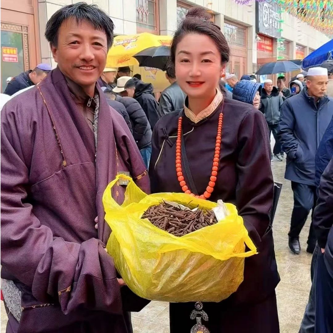 （央金）网红款 99藏干品质虫草  2025年头期高品质干冬虫夏草