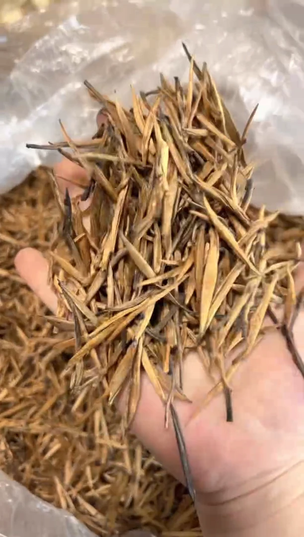 壶600号茶【白云推荐】金针500克