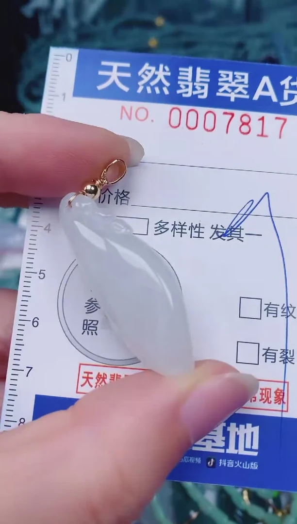 颈饰未镶嵌翡翠00007817