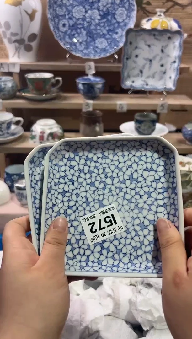 瓷片           I572