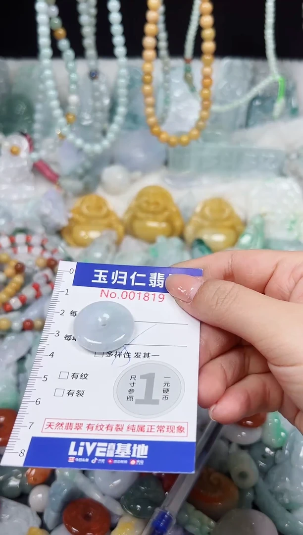 颈饰未镶嵌翡翠165