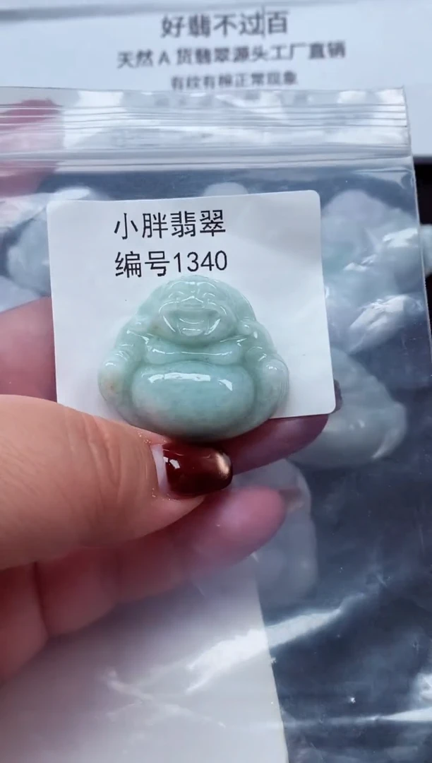 颈饰未镶嵌翡翠缅甸天然A货翡翠1340