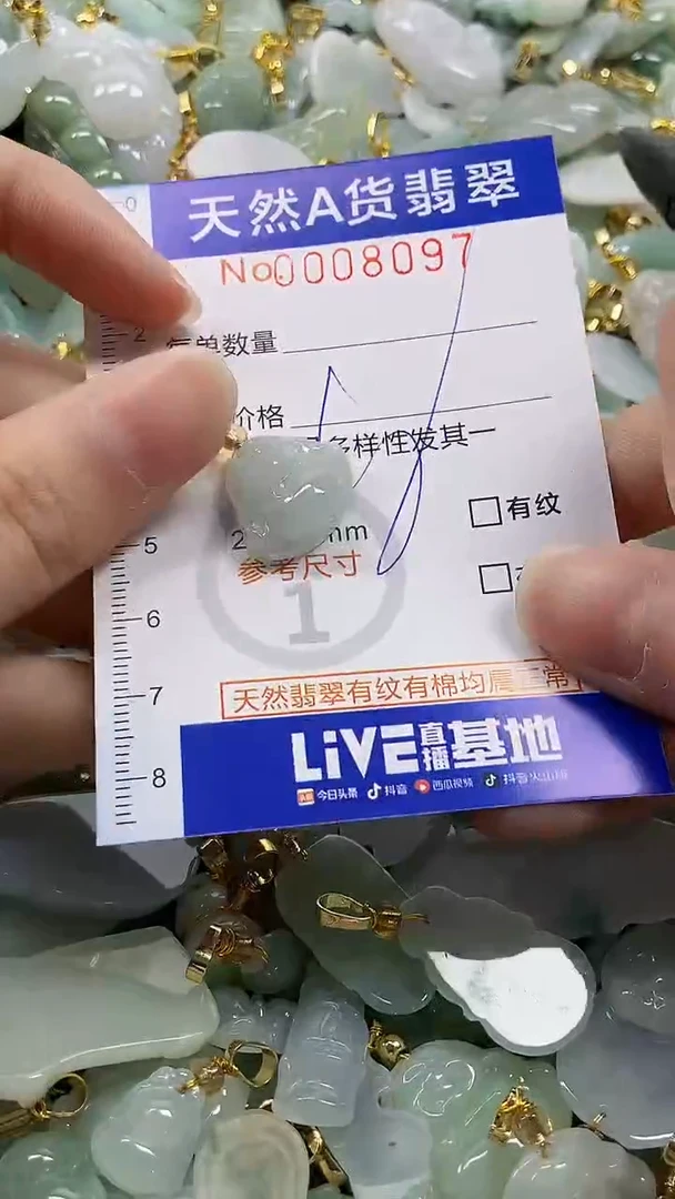 颈饰未镶嵌翡翠天然A货翡翠