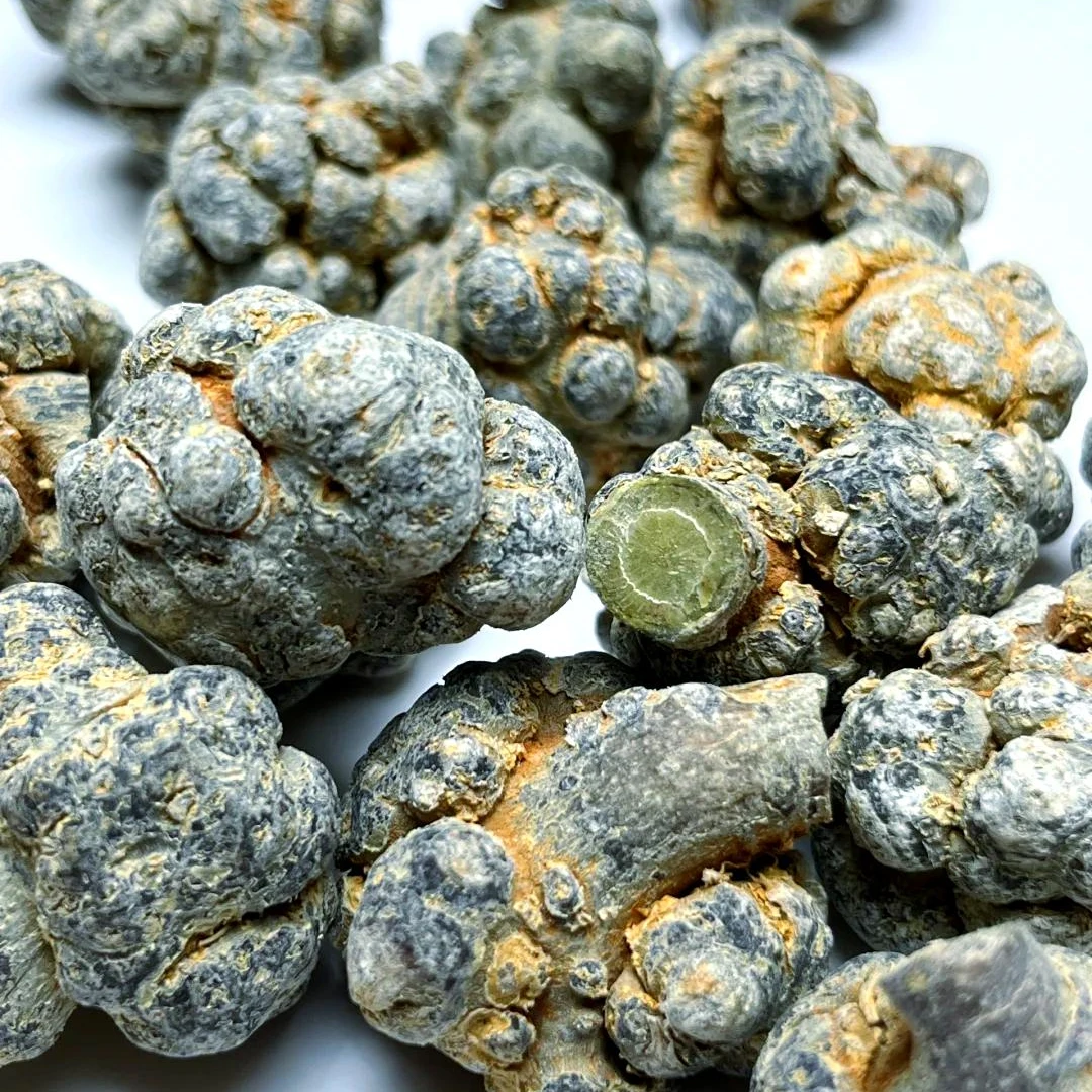 云南文山三七20头无剪口