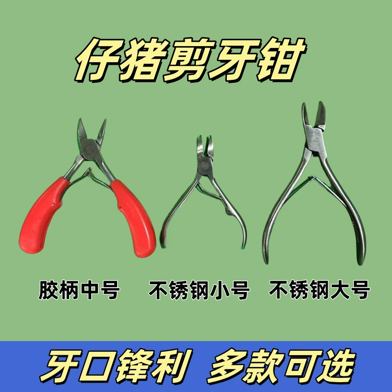 天赐牧泽仔猪剪牙钳养殖场猪用工具快速专用剪牙钳小猪畜牧断牙剪