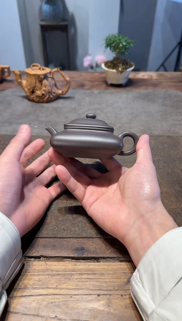 茶壶紫砂玩**丶寒灰老人