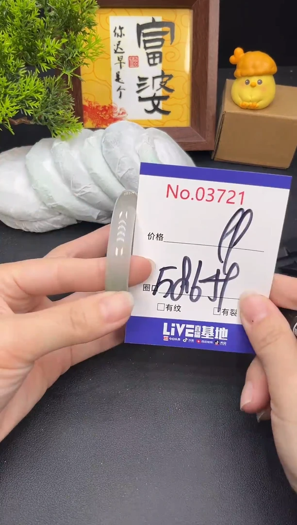 未镶嵌手镯翡翠3721