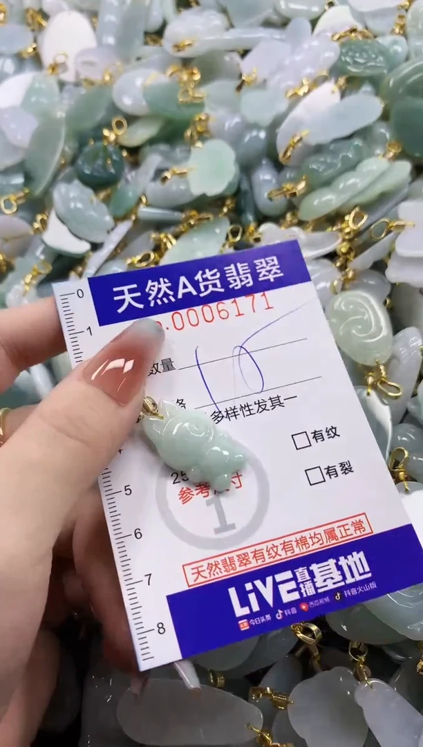 颈饰未镶嵌翡翠天然A货翡翠