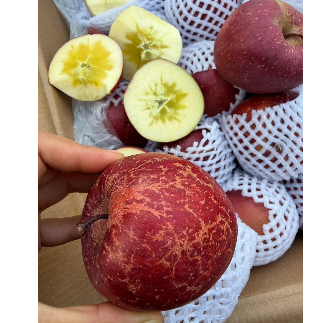 【大董】大凉山丑苹果净重5斤/份四川省