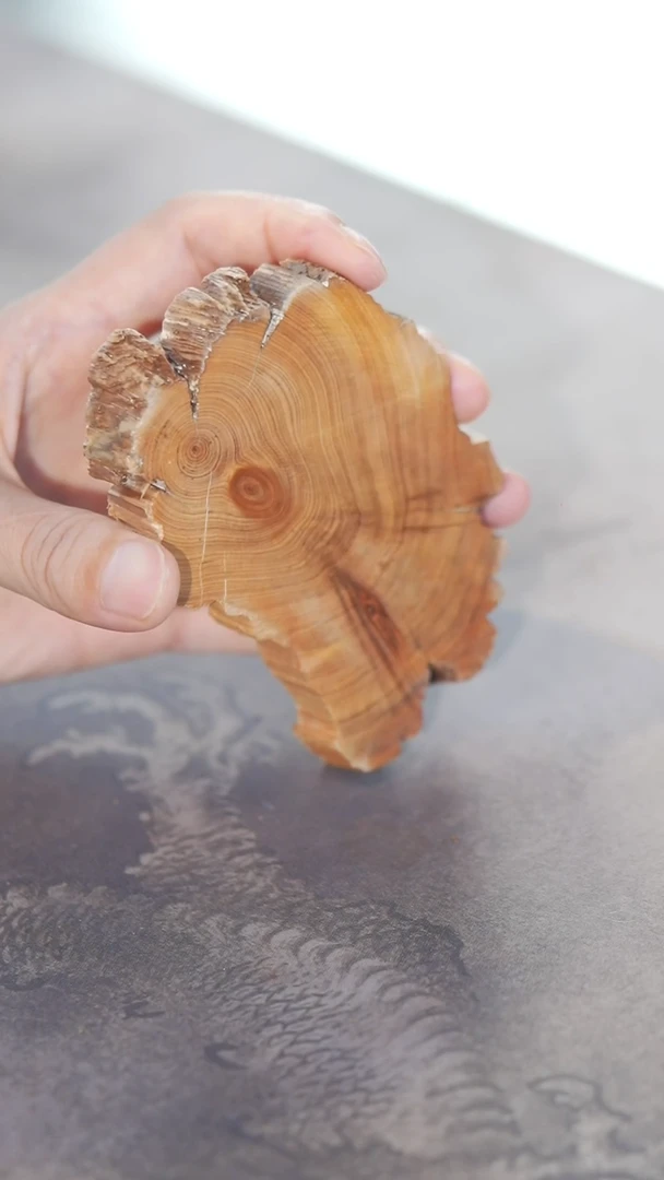 柏木（崖柏）陈化料杯垫多样形发其一