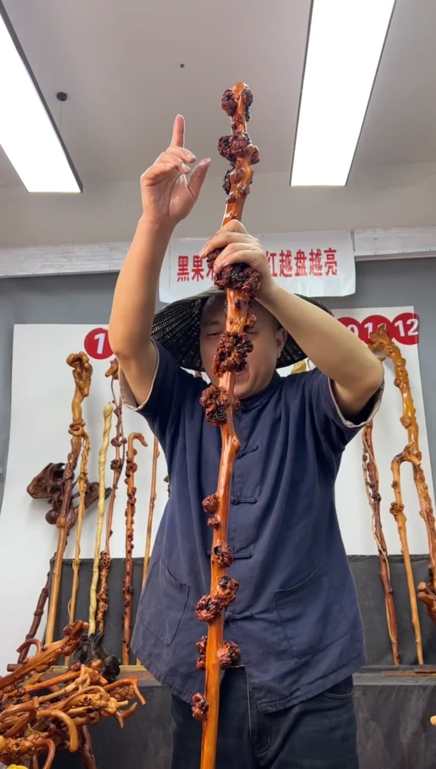 【闪购商品】黑果木其他黑果木274
