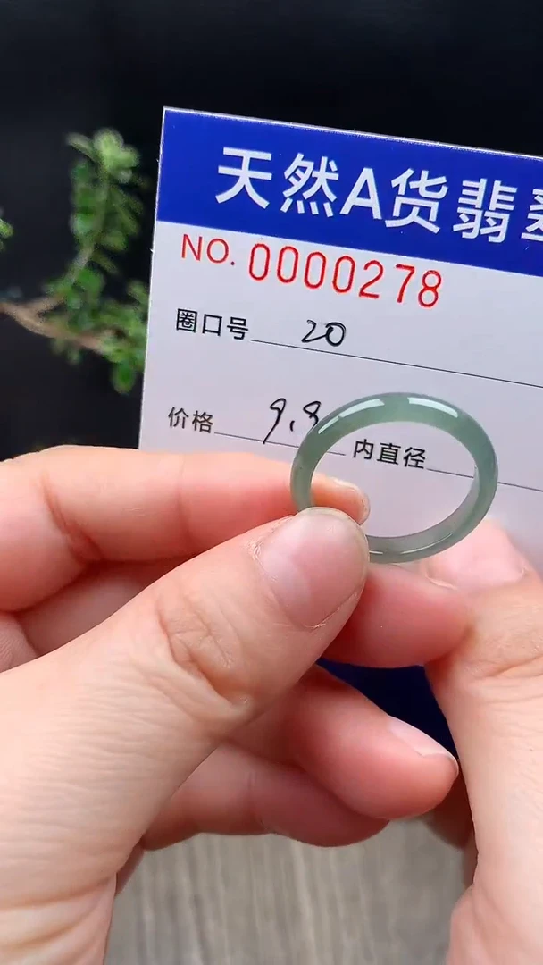 未镶嵌戒指翡翠20#