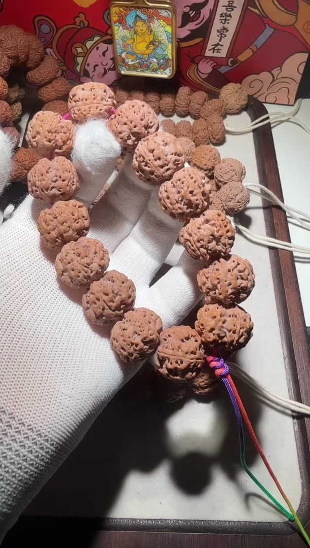 【闪购商品】金刚菩提手串福利22粗筋双龙