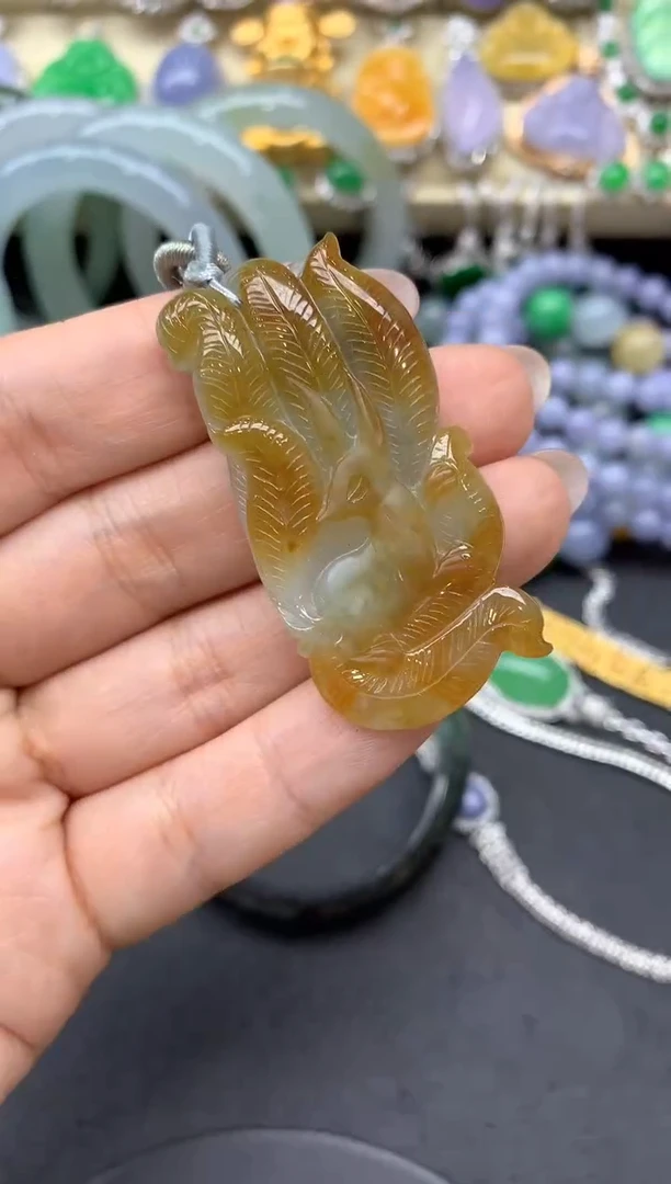 【闪购商品】翡翠颈饰未镶嵌282-中国好珍宝