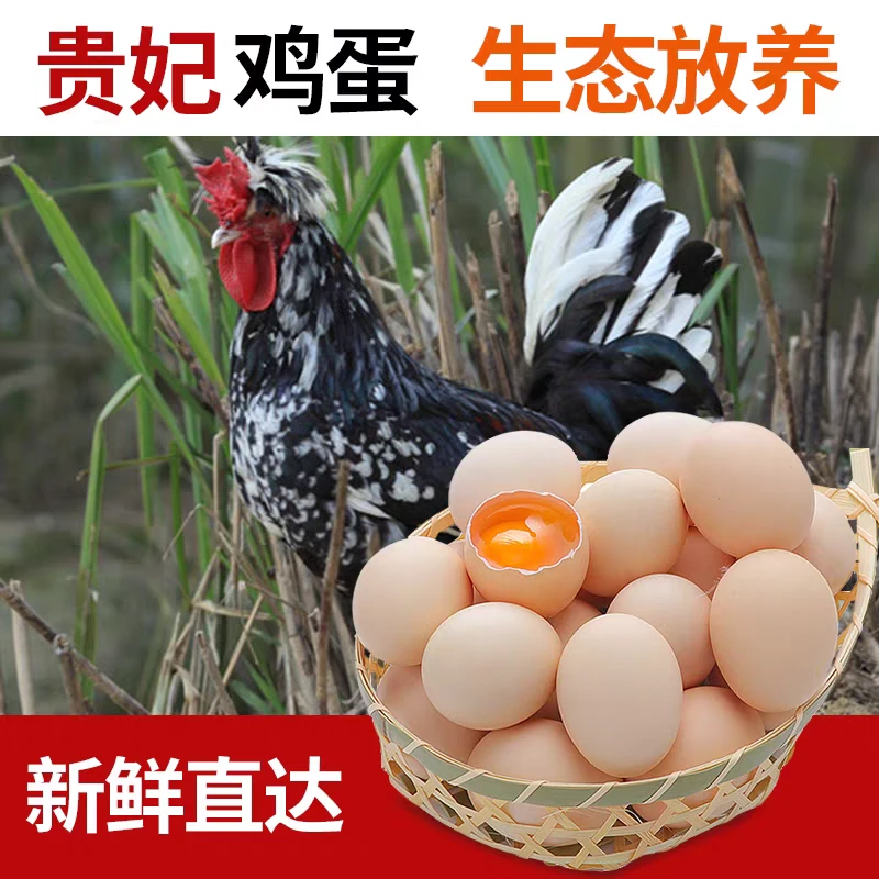 农村散养贵妃鸡蛋农家散养白鸡蛋