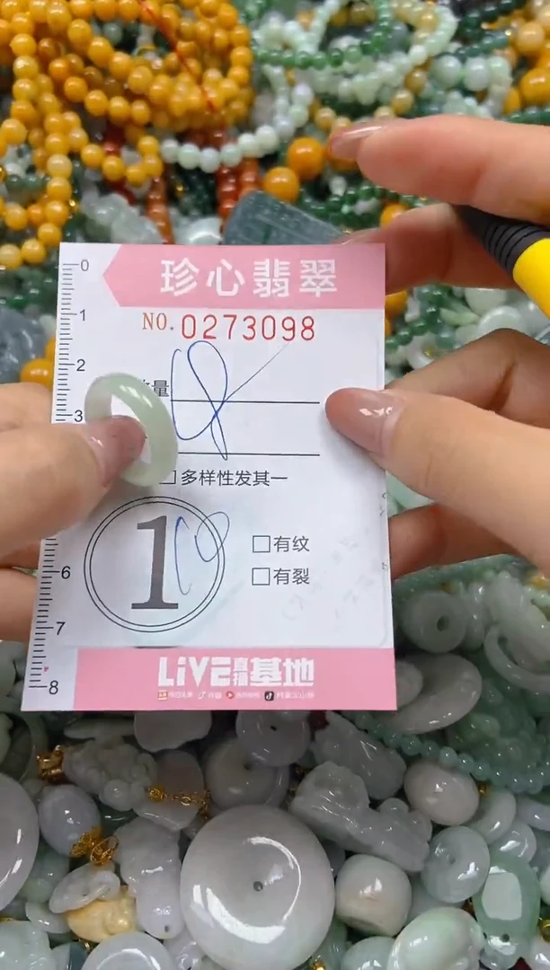 翡翠未镶嵌颈饰闪购0273098