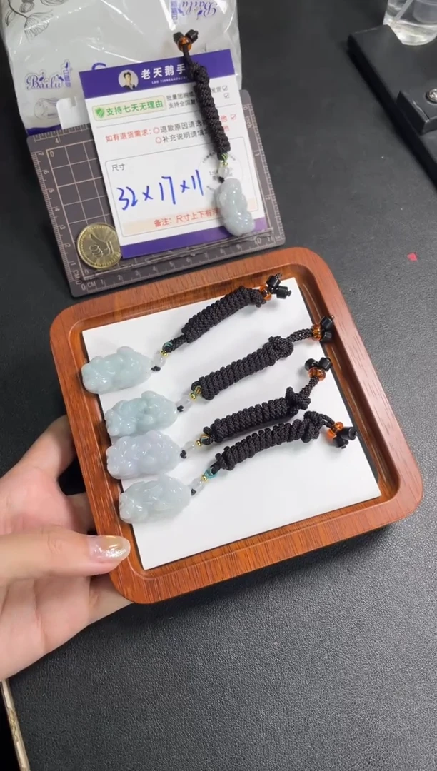 未镶嵌挂件翡翠貔貅FL5配绳/多样性发其一CP