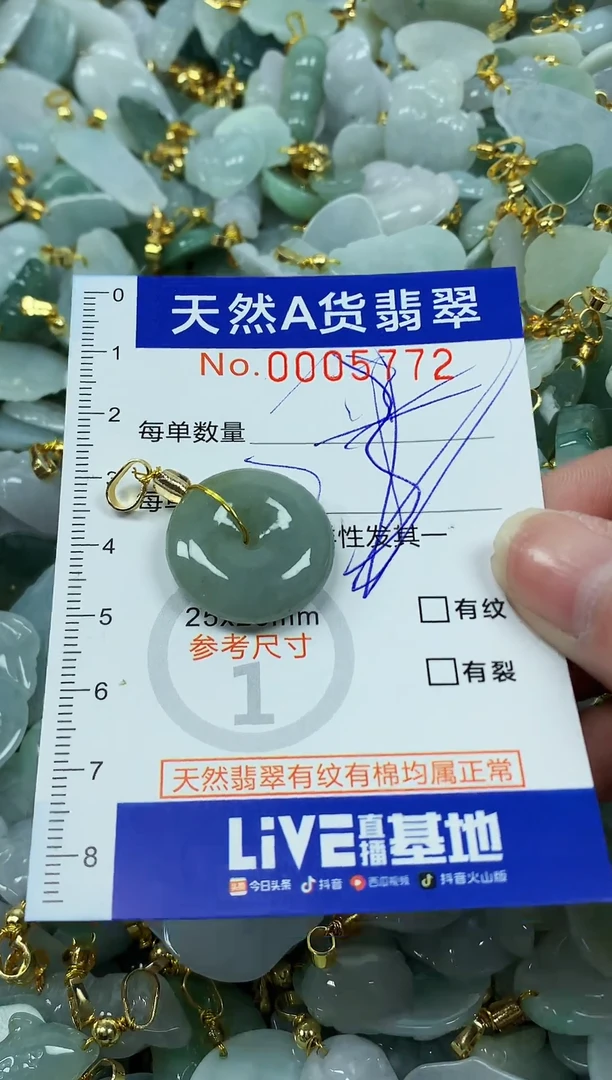 颈饰未镶嵌翡翠纯天然a货翡翠