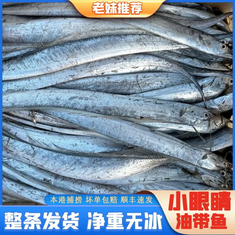 【老妹海鲜】野生冷水小眼睛油带鱼整条新鲜净重5斤10-11条