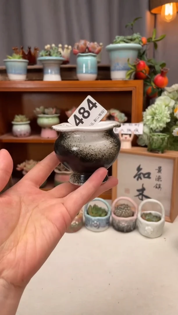 瓷片484知木小芳花盆