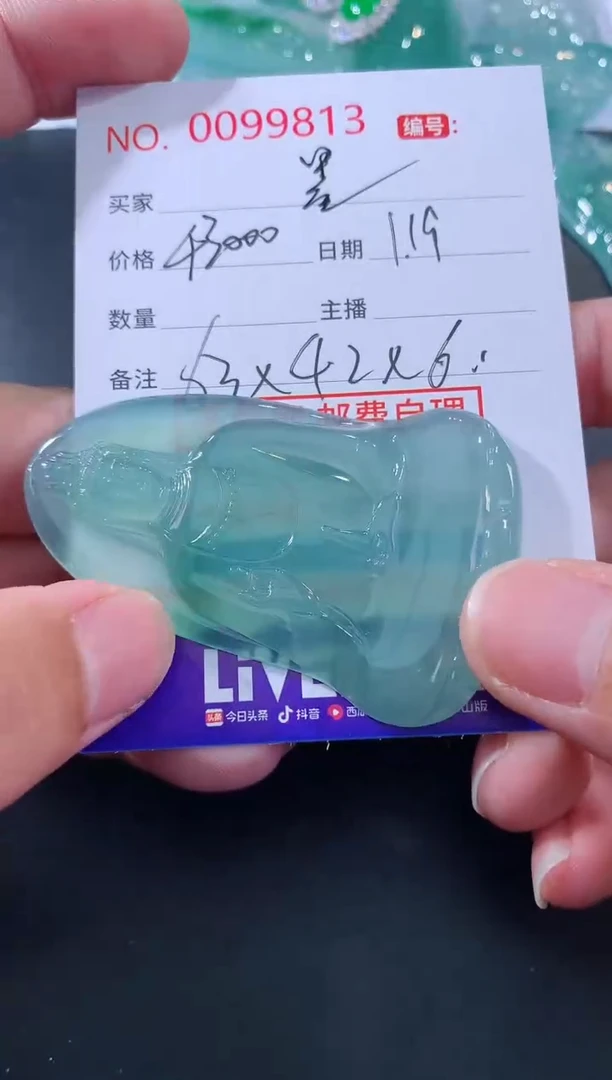 【闪购商品】翡翠颈饰未镶嵌墨