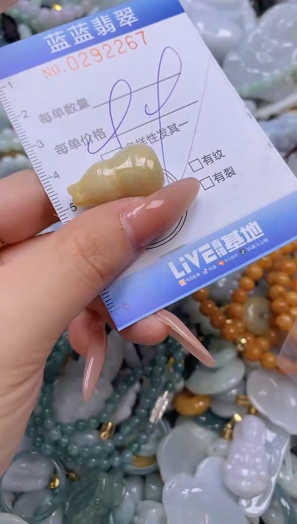 翡翠未镶嵌颈饰闪购0292267