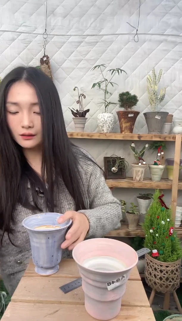 无花朵编号 948  景德镇手绘花盆13x12