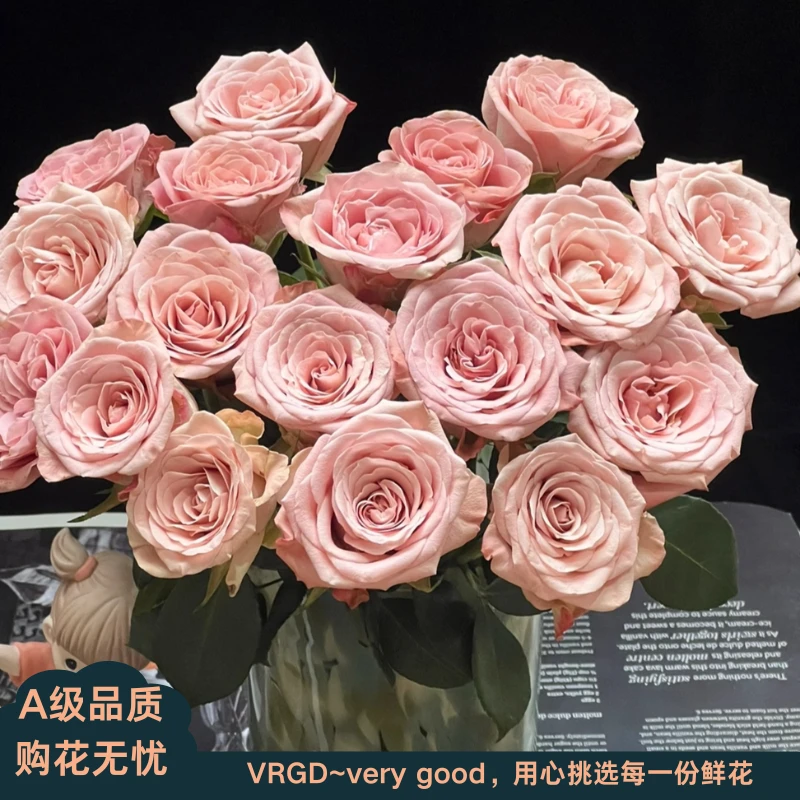 A级卡布奇诺玫瑰鲜花居家庭插花送亲友VRGD瑧选品质顺丰包邮