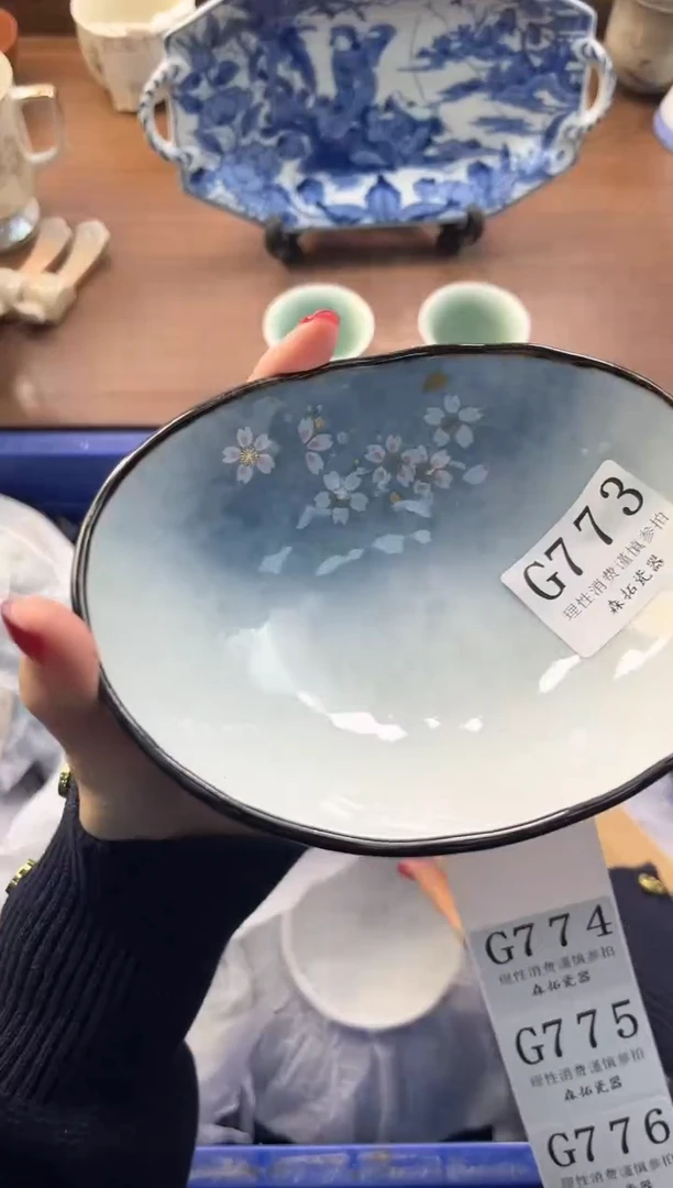 【闪购商品】瓷片----------G773