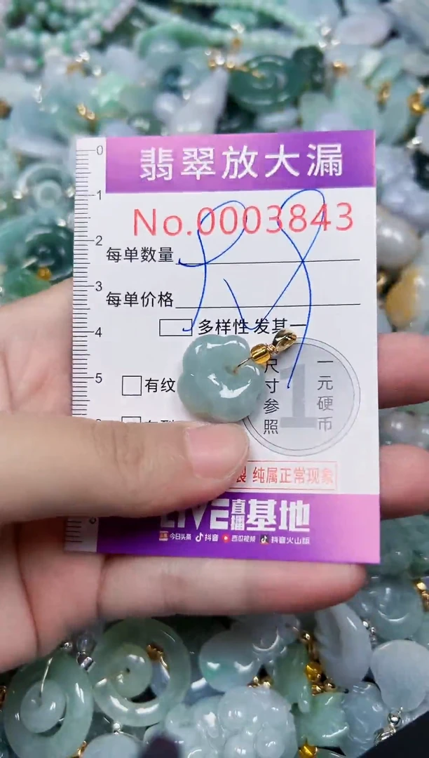 颈饰未镶嵌翡翠3843