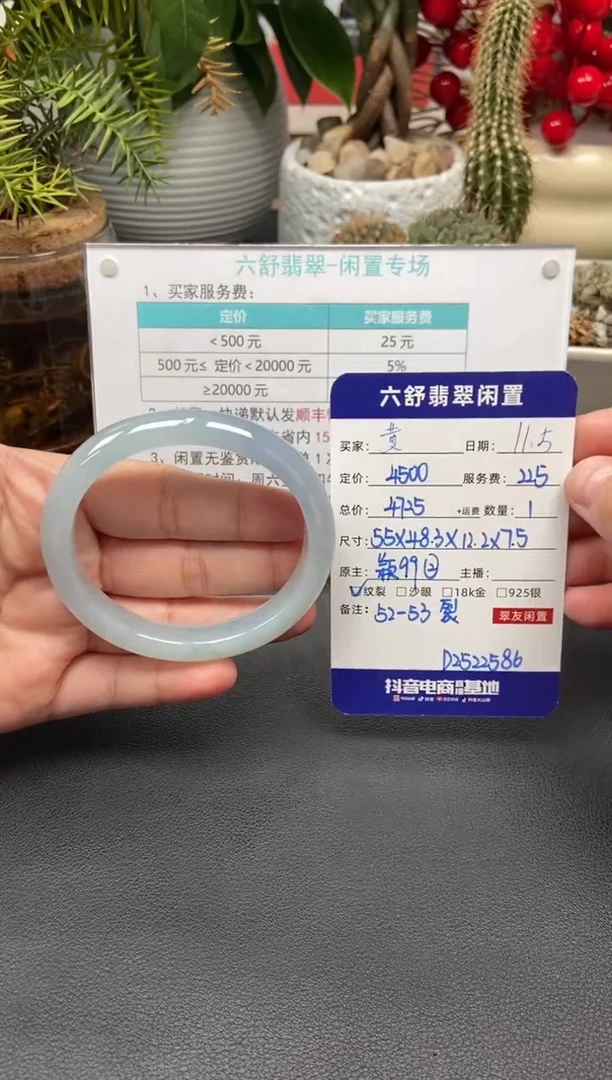 未镶嵌手镯翡翠黄**呀D2522586