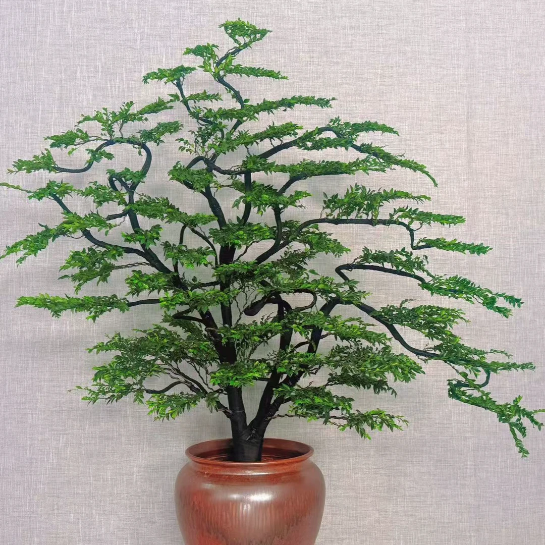 广东小叶紫檀黑骨茶黑檀盆景树室内客厅盆栽老桩四季常青吸甲醛