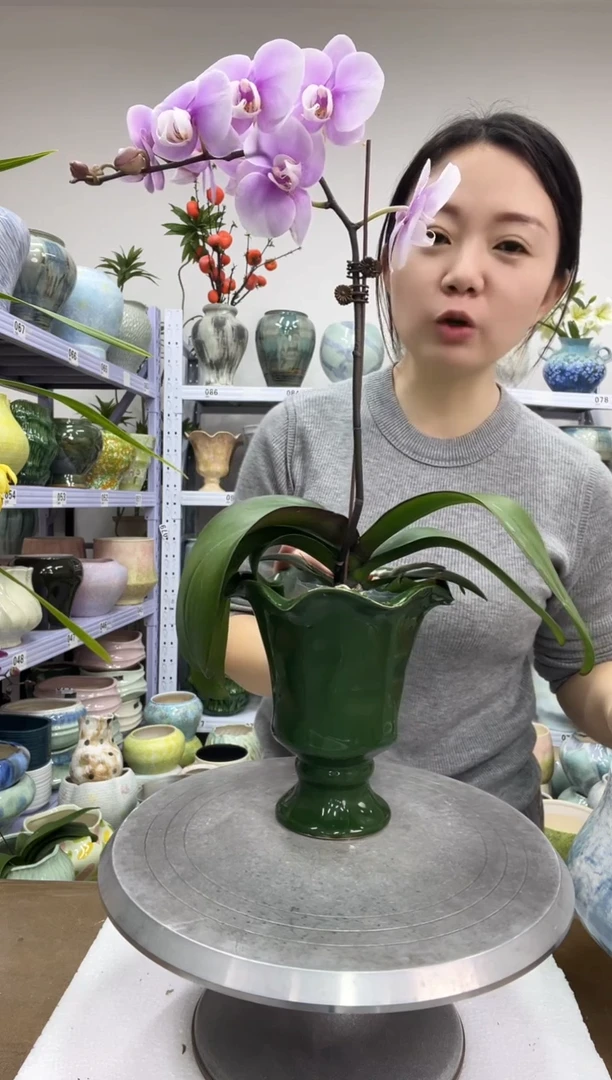 【12.19】花盆链接 高： 17 口：   12微瑕微瑕