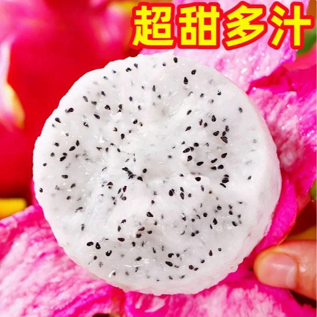 火龙果