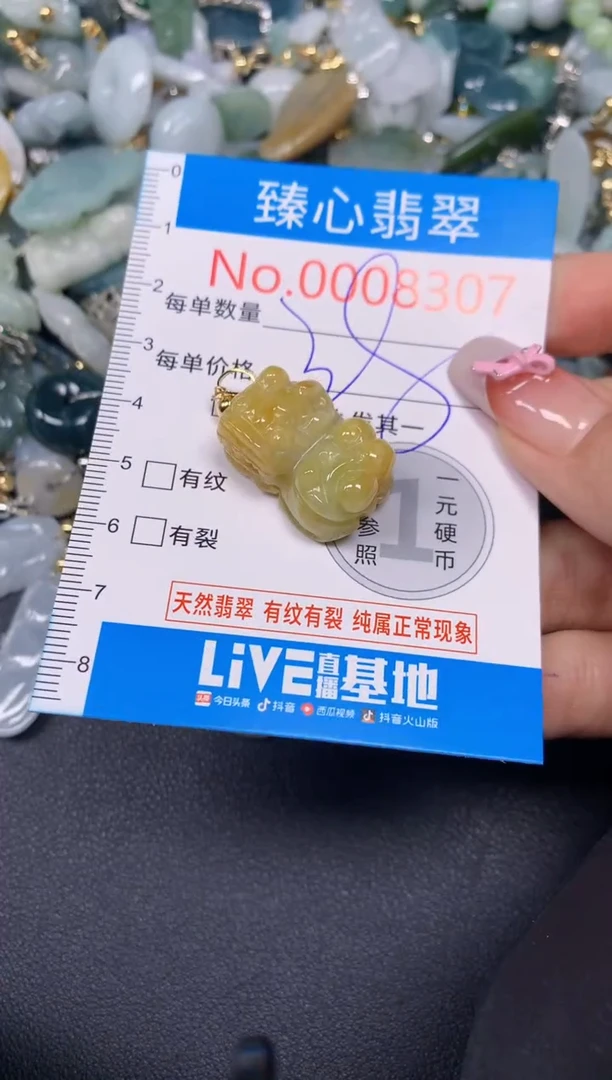 【闪购商品】翡翠颈饰未镶嵌含绳0008307