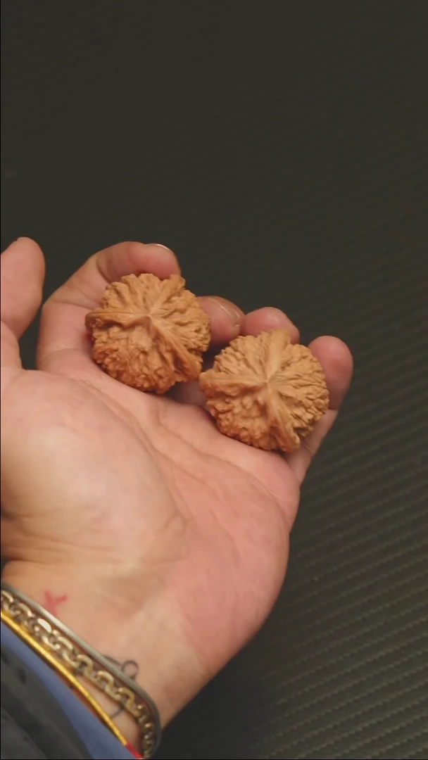 福利福利福利御龙粗筋全品36