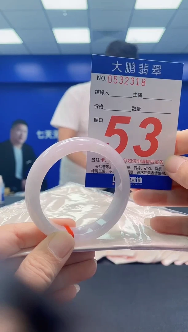 未镶嵌手镯翡翠AAAAAAAAA