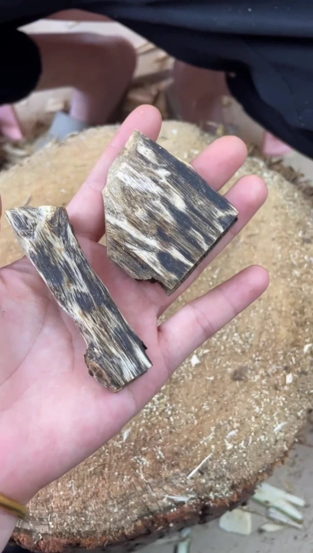 【闪购商品】沉香木沉香碎屑棋楠沉香 原料文创1