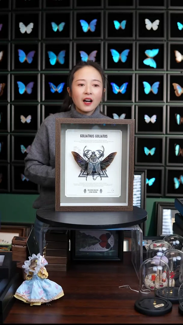 大王花金龟标本摆件