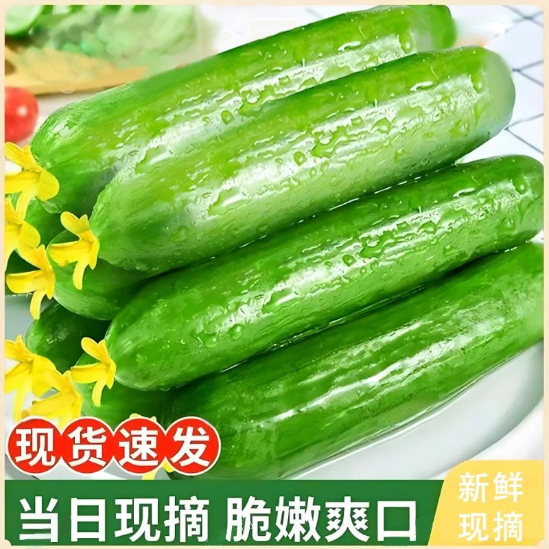 亿万斯年水果小黄瓜脆嫩无刺生吃即食清脆爽口