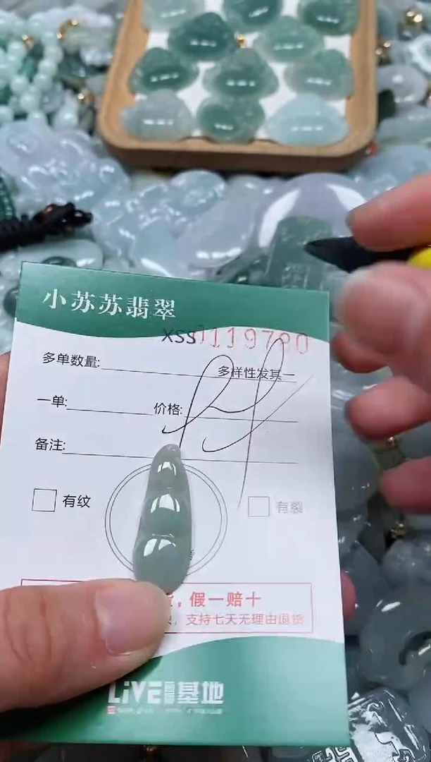 【闪购商品】翡翠颈饰未镶嵌闪购商品0119780