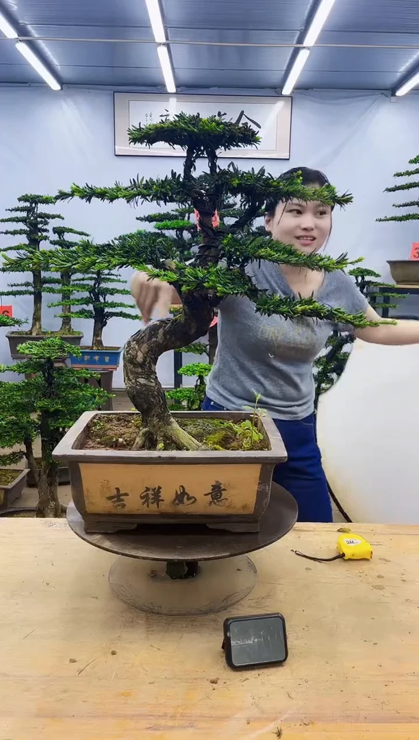 无花朵一物一拍，所见即所得