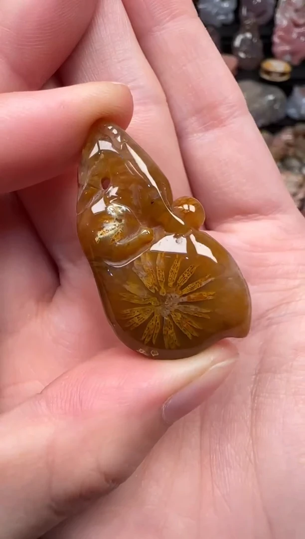 颈饰未镶嵌硅化珊瑚（珊瑚玉）168