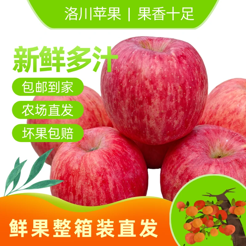 【传说哥专属】正宗洛川精品红富士苹果净重5斤-8.5斤脆甜多汁
