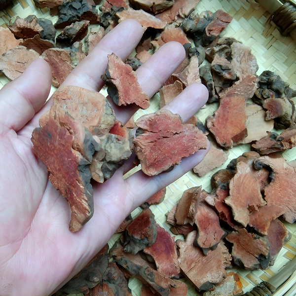 贵州山货金刚藤 泡酒菝葜黄土茯苓铁菱角冷饭头500克熬水煲汤干货