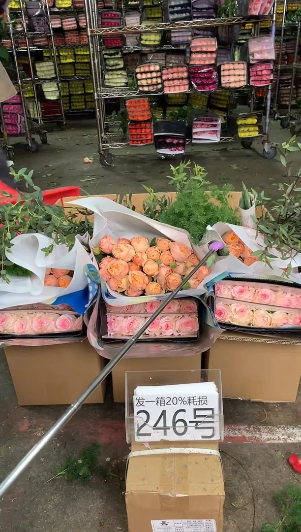 246号♥中通含20%耗损发一箱鲜花