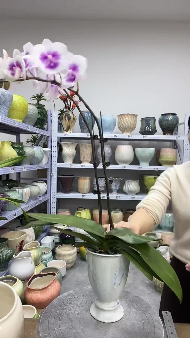 11.30陶瓷花盆直播链接高.      17口11