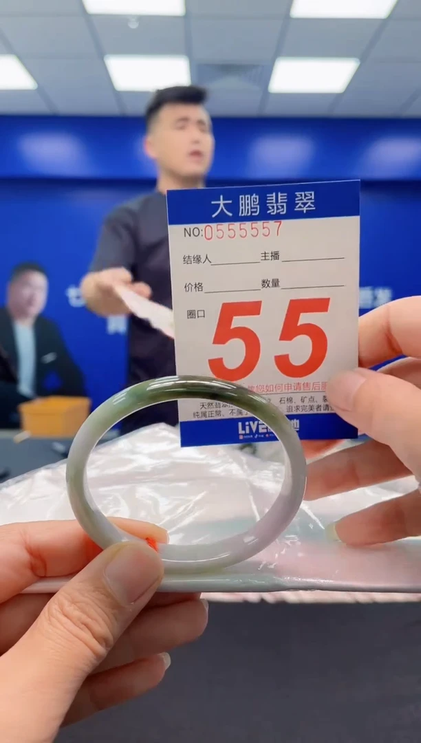 未镶嵌手镯翡翠AAAAAAAAA