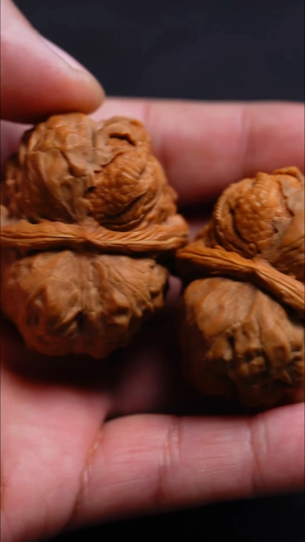 手串/手链橄榄核金蝉