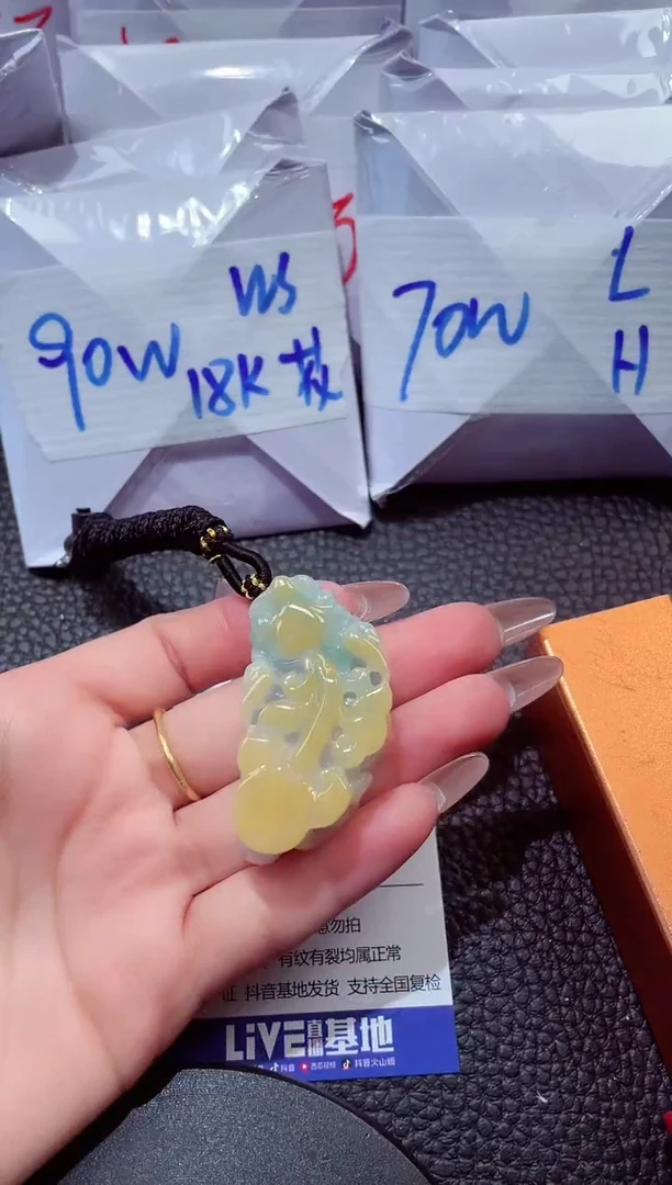 颈饰未镶嵌翡翠20260103